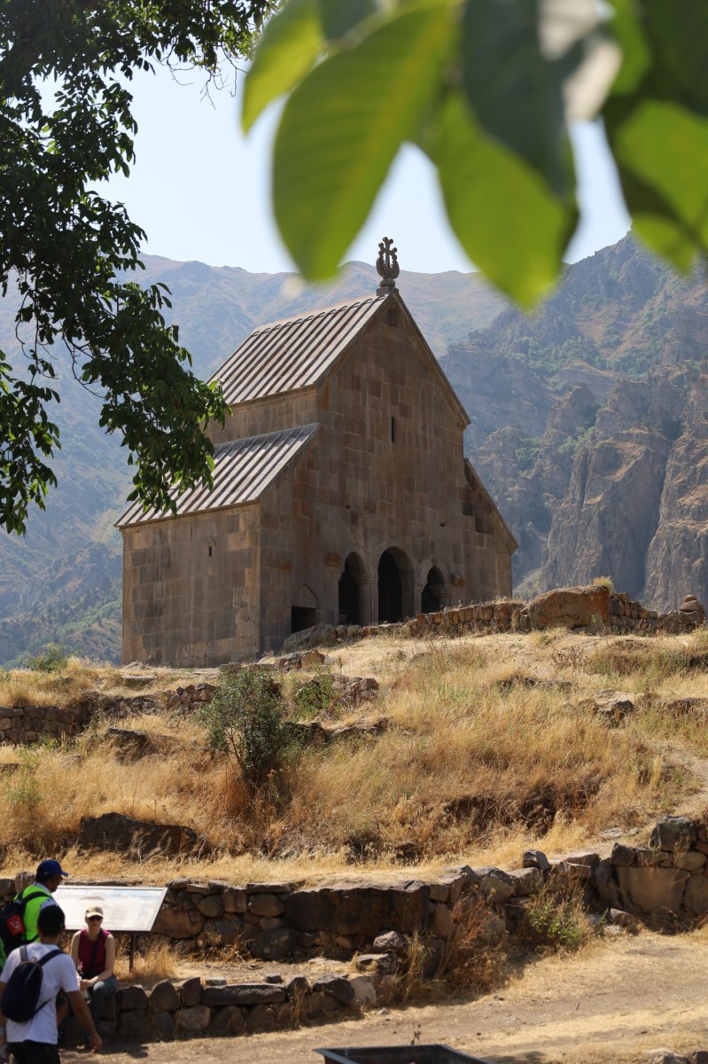 NEWSLETTER: July 30, 2025 